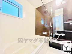 11月6日現地写真更新